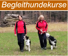 Begleithundekurse