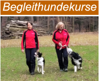 Begleithundekurse