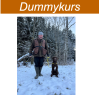 Dummykurs