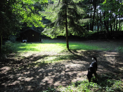 Welpenplatz